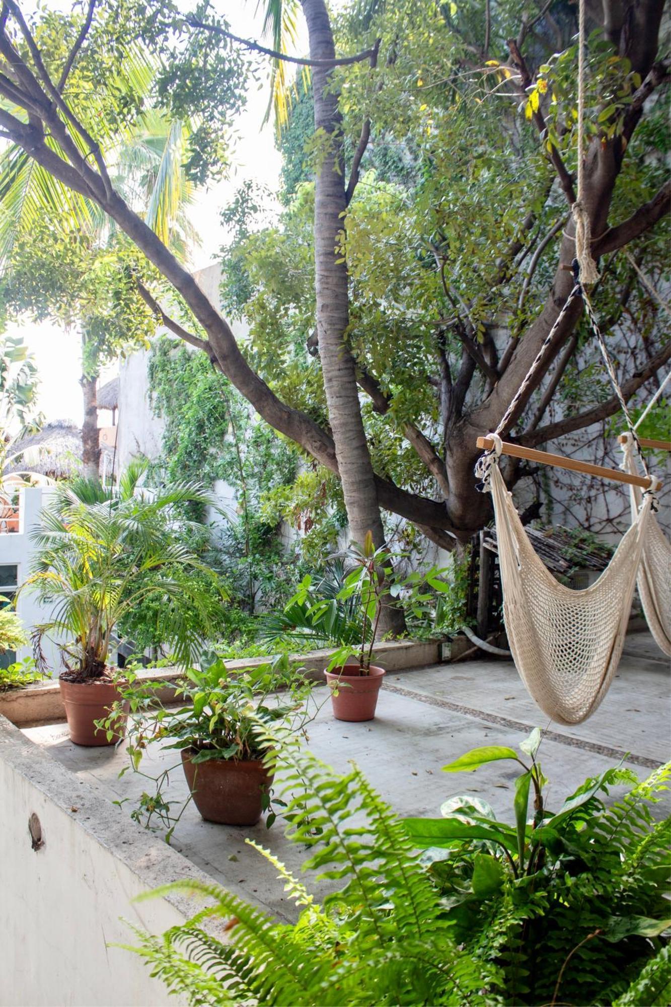 Casa Daikiri Hotel Puerto Escondido  Eksteriør billede